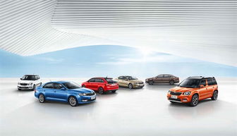 斯柯達(dá)品牌喜迎120周年 全球年銷量突破百萬 中國(guó)市場(chǎng)增長(zhǎng)26%